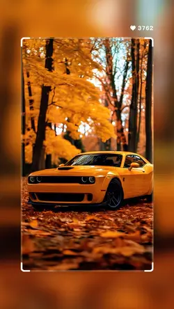 New car templat