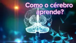  Cérebro aprendendo
