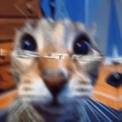 Let me in
