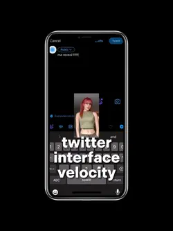 twt interface velo 🔥