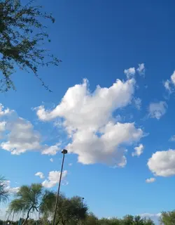Please export