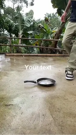 Panflip 