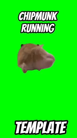 Chipmunk running 