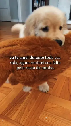 saudade