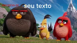 Que curso