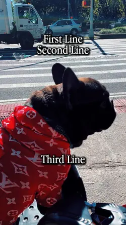 3 line template