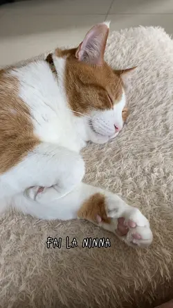 Ninna Nanna lullaby 