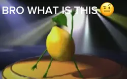 AYO