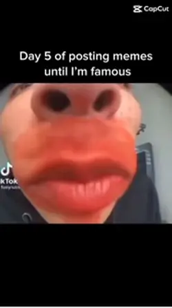 Meme