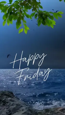 Happy Friday vibes