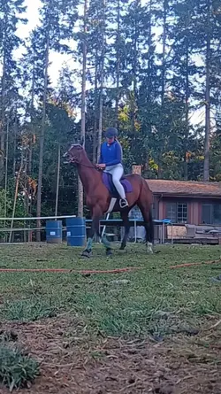 My ottb project!