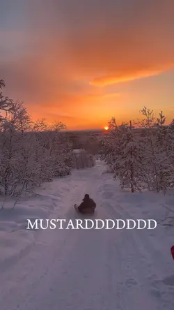Winter dump