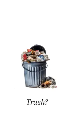 Trash? Or..