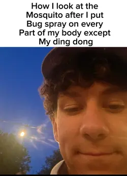 fade in meme
