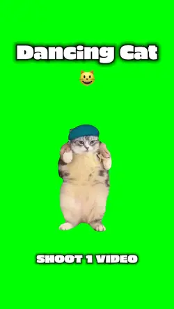 Dancing Cat