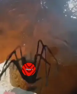 Scare a frien