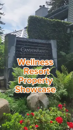 Property Showcase 