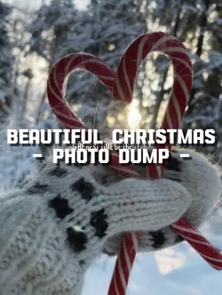 CHRISTMAS DUMP