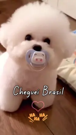Cheguei Brasil