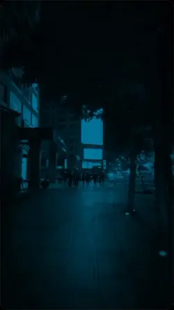Seu 