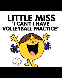 volleyball 