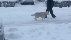 who is love winter?