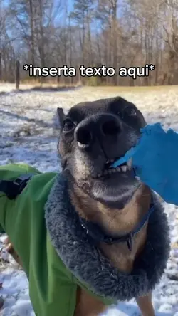 Perro con frío!