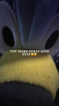 Stray kids edit🤭