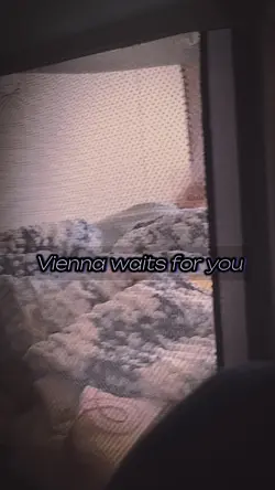Vienna 