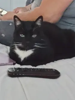 my kat :3