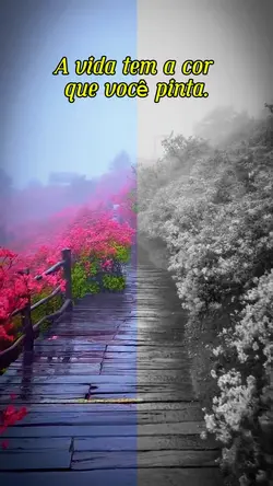 cores da vida