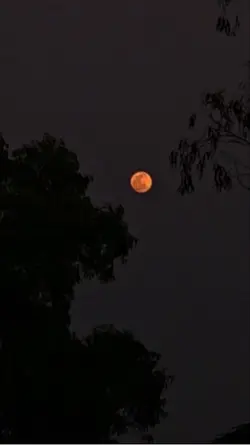 Luna 🌓 