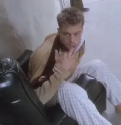 Viral Brad Pitt meme