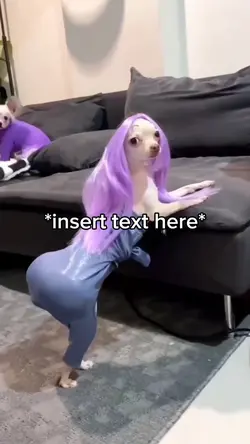 Booty Dog