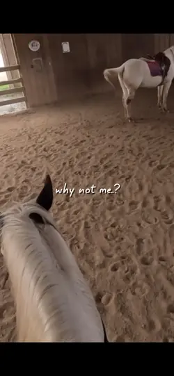 why not me