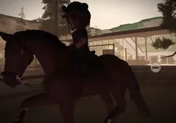 NEW HORSE MEET