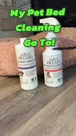 Cleaning Day