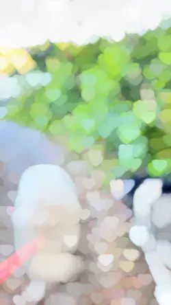 Long form video