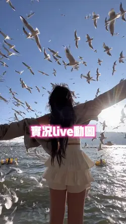 实况live动图