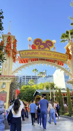Lunar New Year 