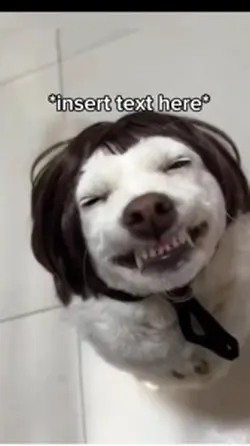 Cute Dog Wig
