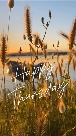 Happy Thursday ❤️