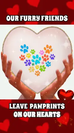 Pawprints on Hearts