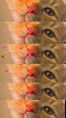hereyes 