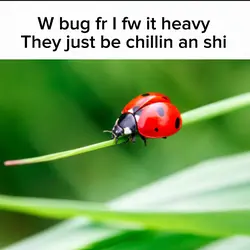 W (your item) fr