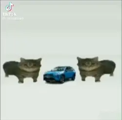 This Is A? Toyota.