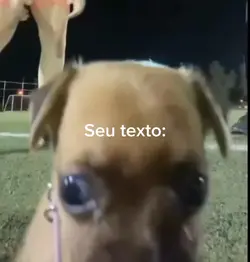 cachorro fofo