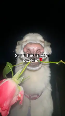 Dog flower
