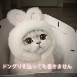森の小さなレストラン