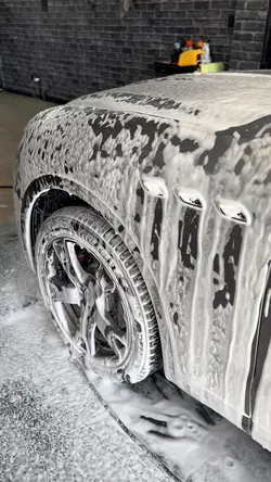 Estética automotiva